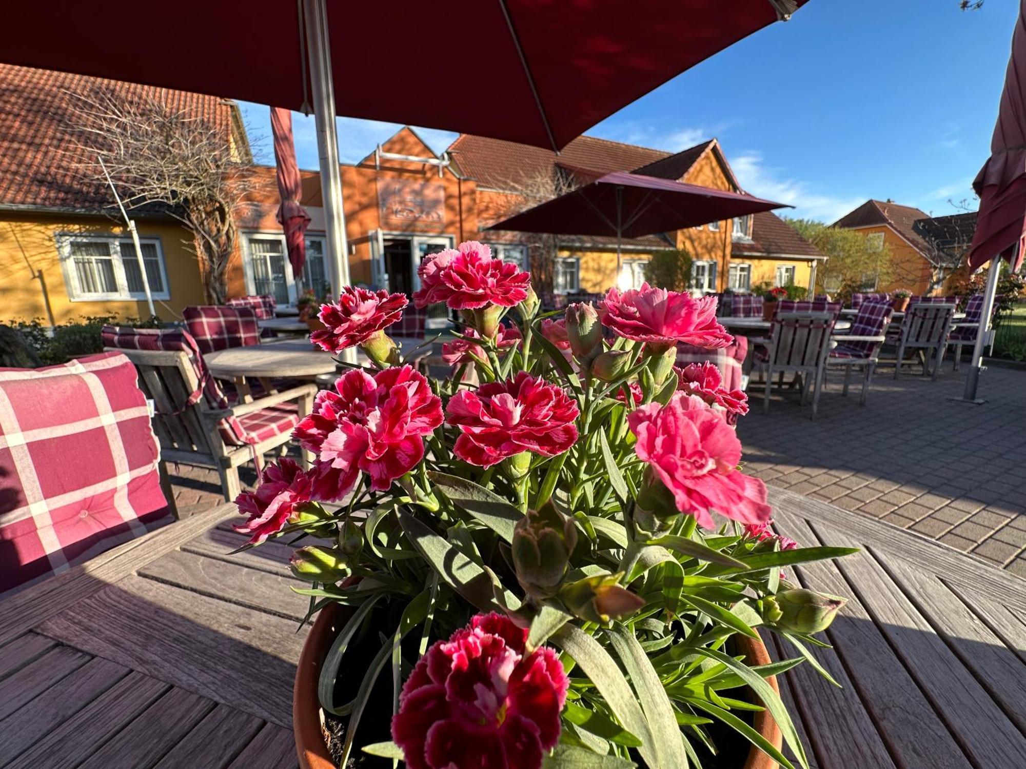 Hotel & Restaurant Zum Kap Arkona Putgarten Εξωτερικό φωτογραφία